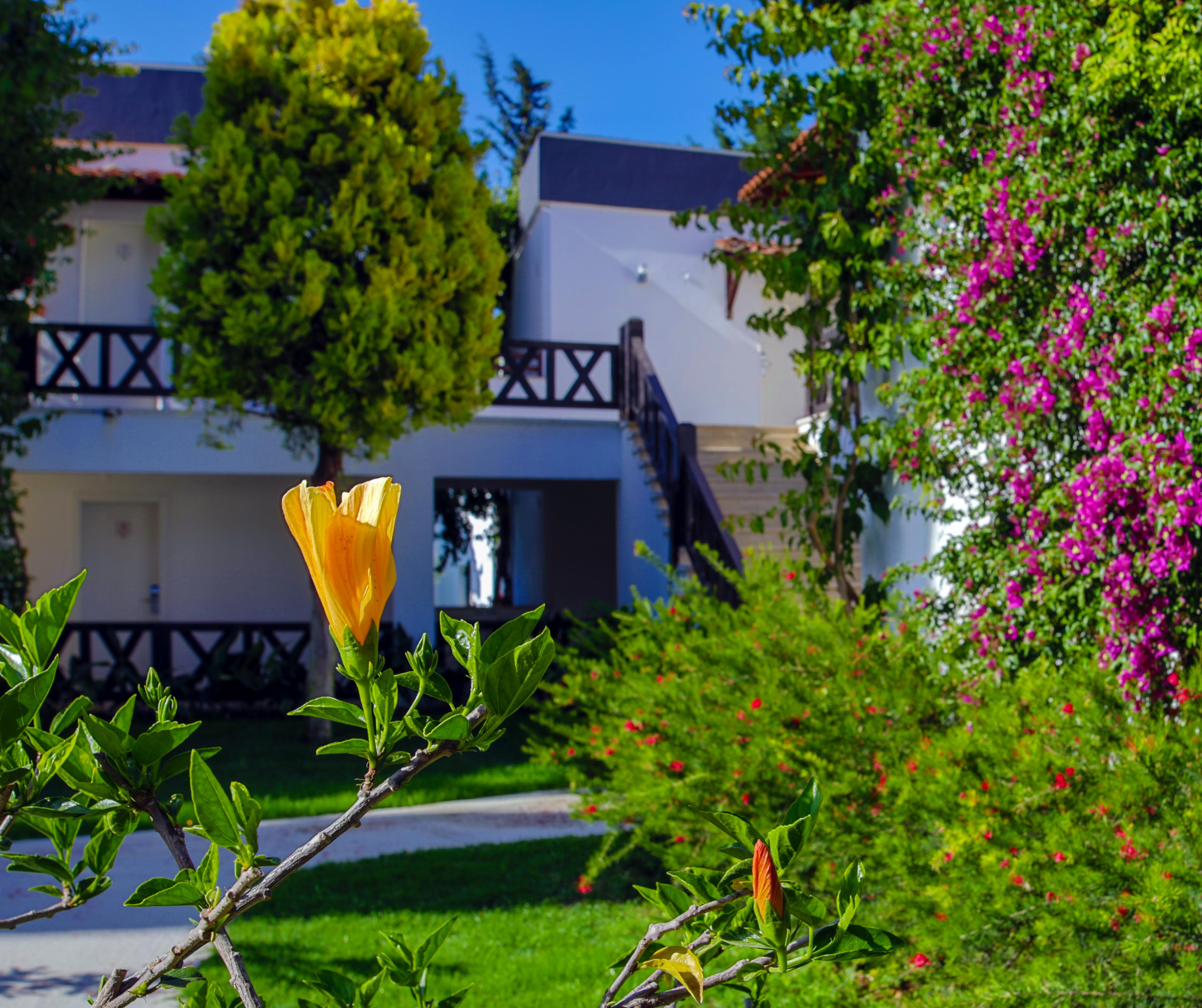 Bitez Garden Life Hotel Bodrum Exterior photo